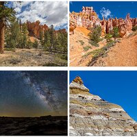 Desert and High Plateau Images by Alan Lichty