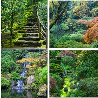Portland Japanese Gardens by Alan Lichty