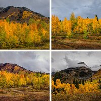 Utah fall color