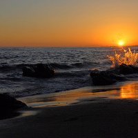 _DSC5833_d1sweb
