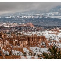 Fresh Snow Bryce