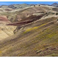 Painted Hills in the Spring