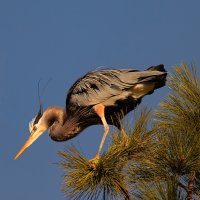 060319_087_1028sharp