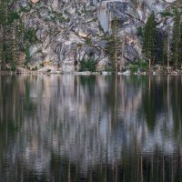 Vertical Brush Strokes