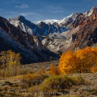 McGee Aspens