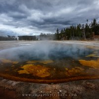 Beauty Pool