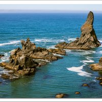 Overlook from the Shi Shi Beach Trail
