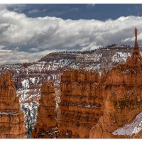 Fresh Snow on Bryce Point