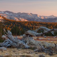 High Sierra Sunset