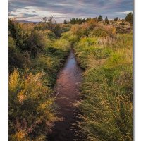 Evening in Eastern Oregon
