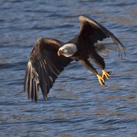 100106_50d_0457 Copy