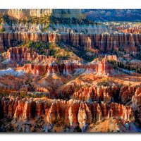 An Orchestra of Form