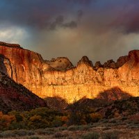 151104-3324-5DS- R BW SHARP V