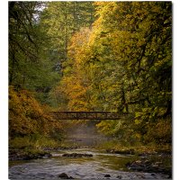 Silver Fall State Park