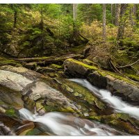 Fall Along The Wonderland