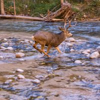 121105-1092-mk3 Copy