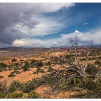 As the Squalls Roll By