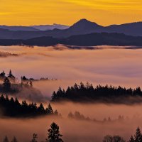Ocean of Fog