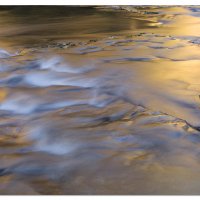 Golden Reflections
