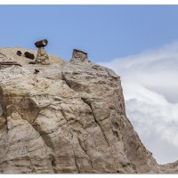Toadstool in the Clouds