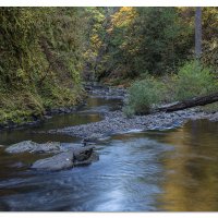 Eagle Creek