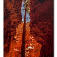 Before the rock fall...