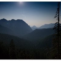 Nisqually Moonglow