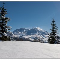 Mt. St. Helens