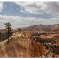 Bryce - a View From Inside