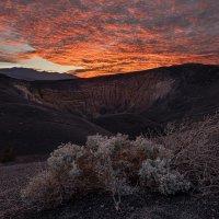 Volcanic Basket Of Holly