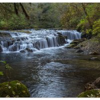Sweet Creek - more unnamed falls