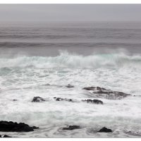 Swells At The Well