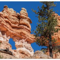 Mossy Cave Trail Hoodoos