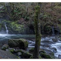 Lower Sweet Creek Falls