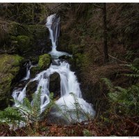 Upper Sweet Creek Falls
