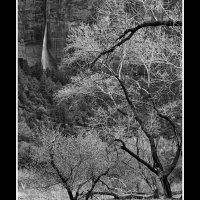 Zion-Waterfall-B&W