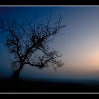 Bavaria-Sunset