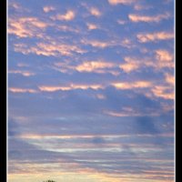 Bavarian-Tree-sunrise