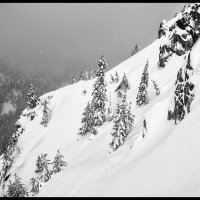 Heather-Ridge-1.25-(56)