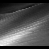 Bugs-Snow-shadows-BW