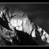 Cheops-bw