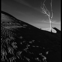 Fall-Trip-NEX_0187