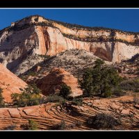 Zion-D2-(102)