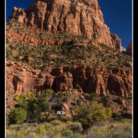Zion-D1_0114