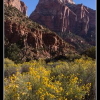 Zion-D1_0106