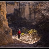 Willis-Canyon_0046