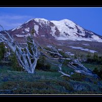 Adams-Dawn-NW