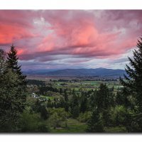 Local View