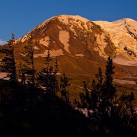 Adams_Panorama1