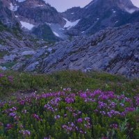 _MG_7083
